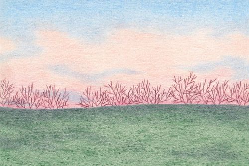 Paysages